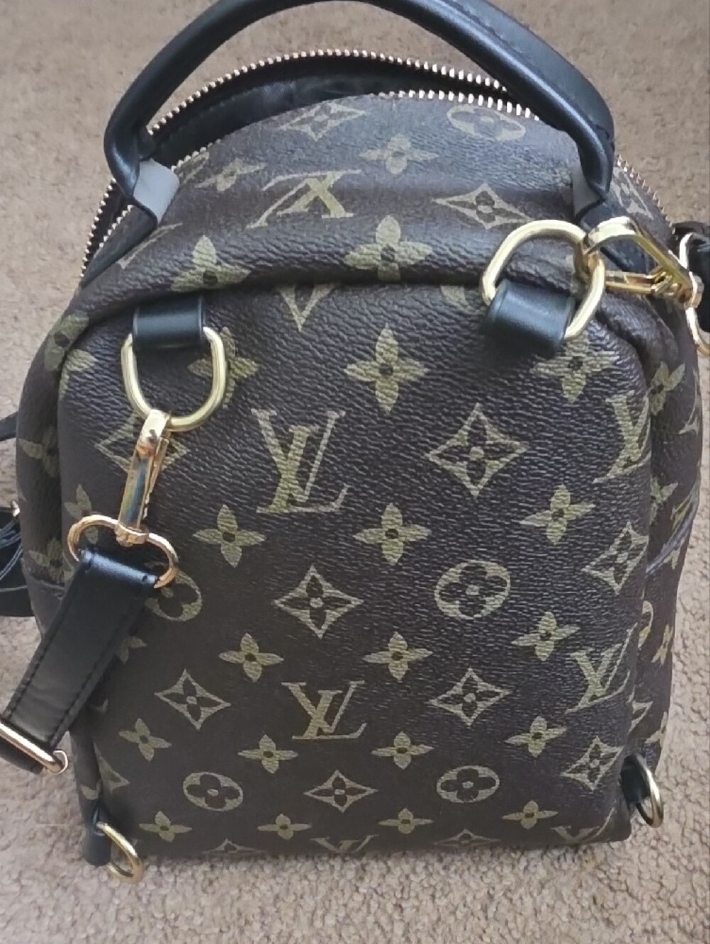 Mini Backpack with Gold Hardware - Picture 7 of 8